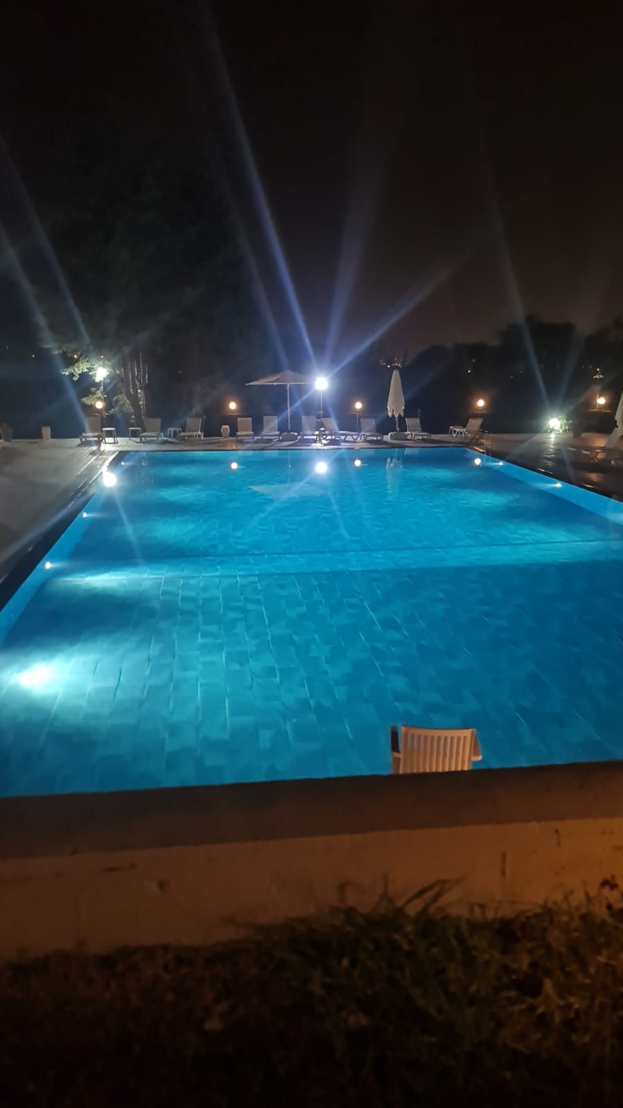 WhatsApp Image 2026-02-18 at 14.04.10 (2)